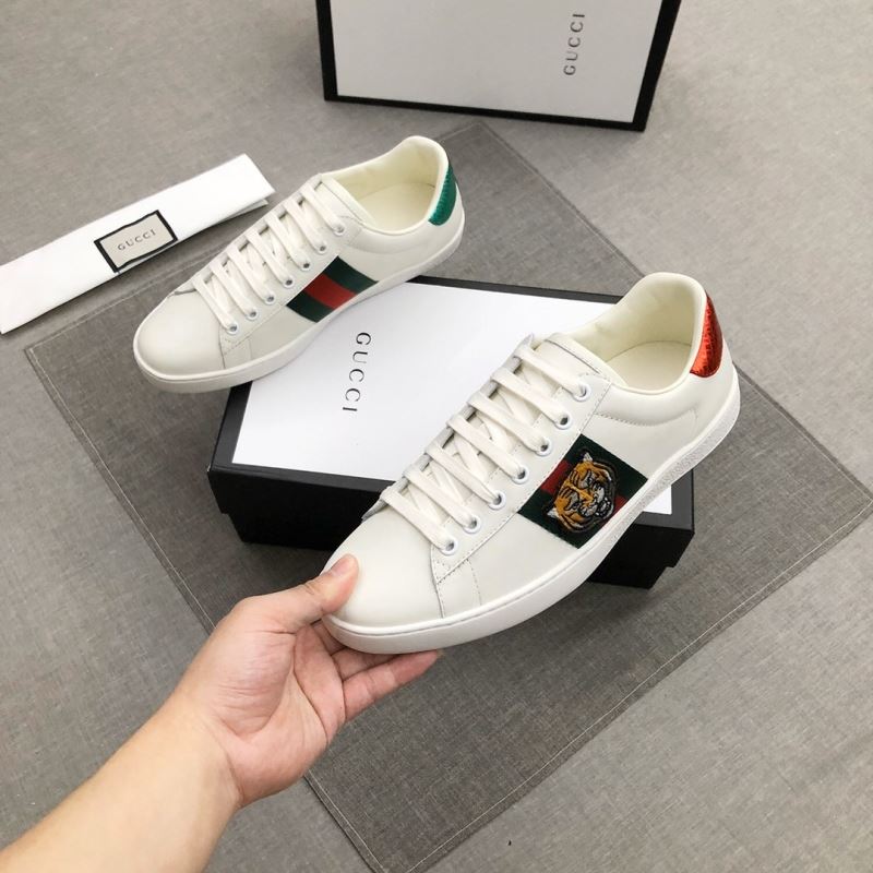 Gucci ACE Shoes